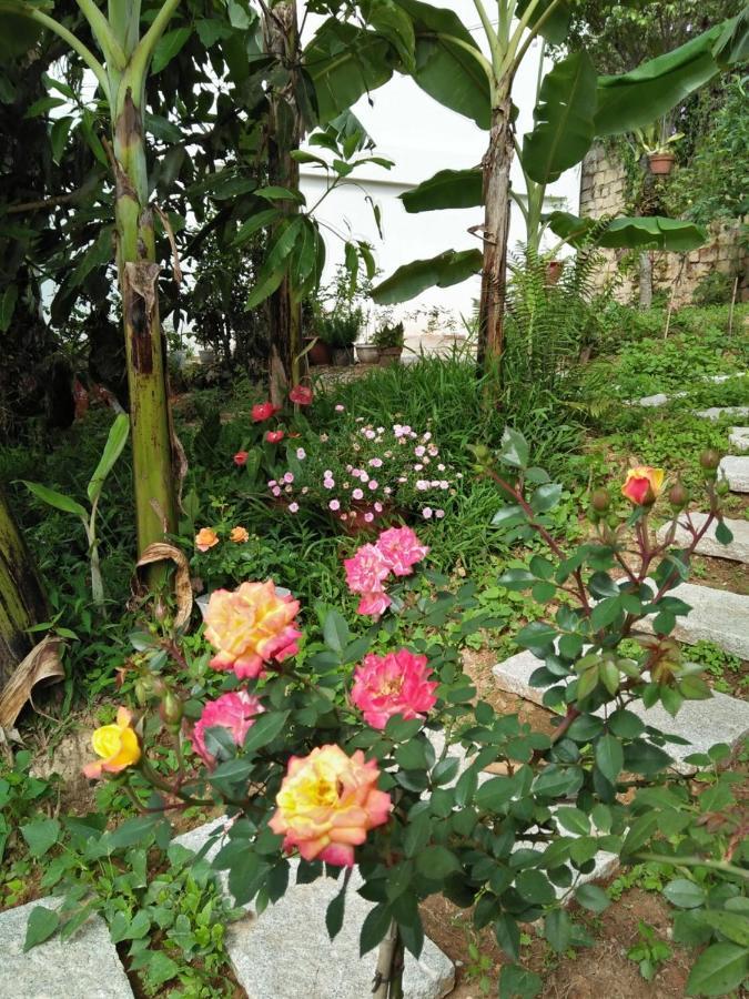 Nha Cua Soc Apartment Dalat Luaran gambar
