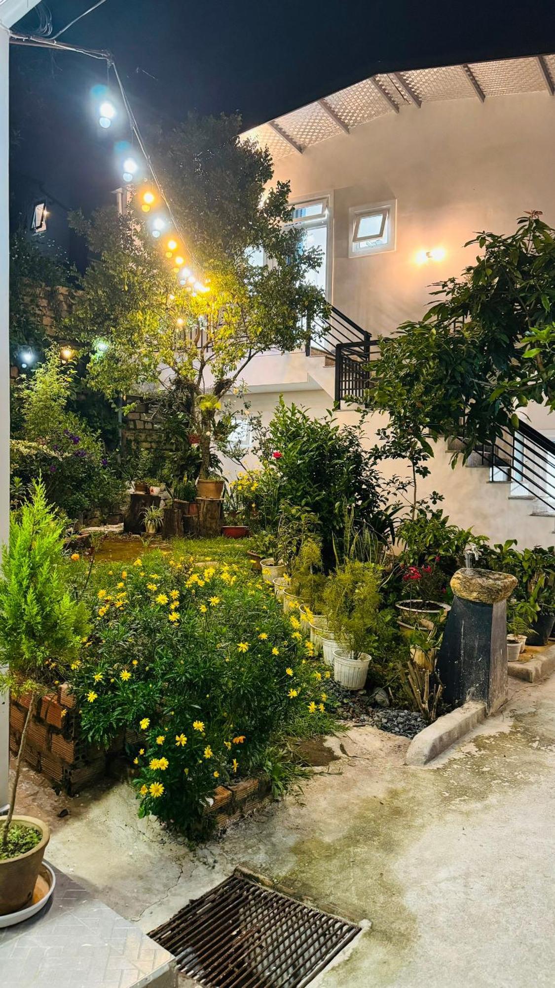 Nha Cua Soc Apartment Dalat Luaran gambar